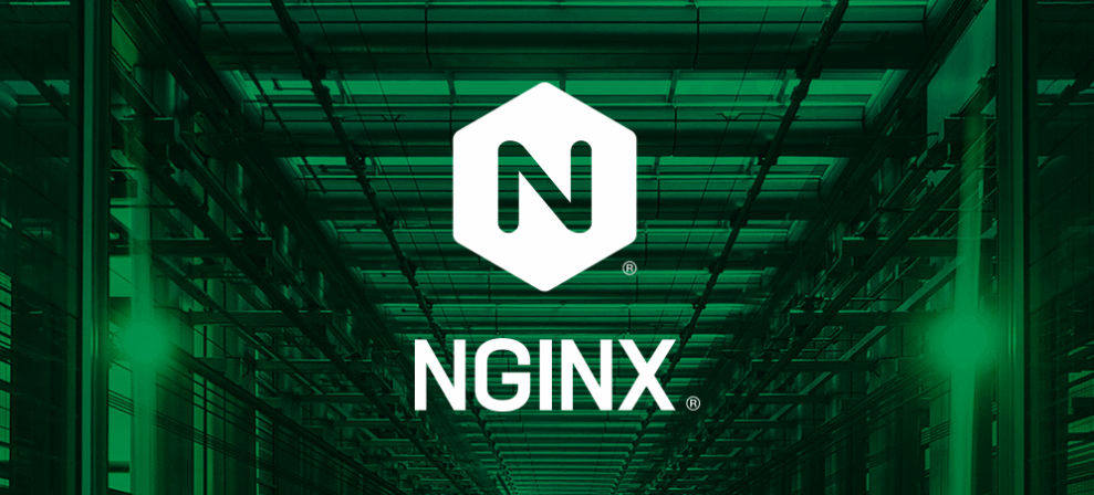 Nginx 配置基于域名的虚拟主机